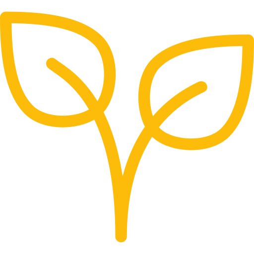 plant (1)